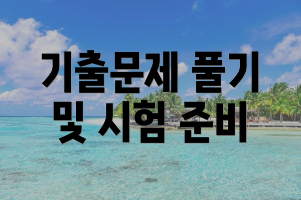 기출문제 풀기 및 시험 준비