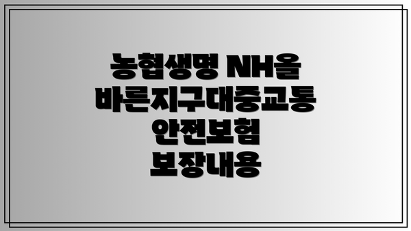 농협생명 NH올바른지구대중교통안전보험 보장내용