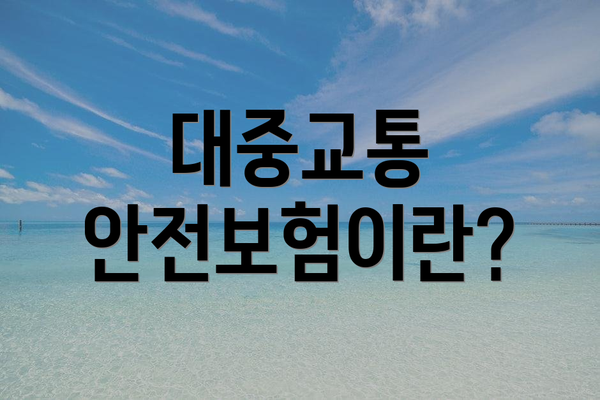 대중교통 안전보험이란?