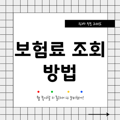 보험료 조회 방법