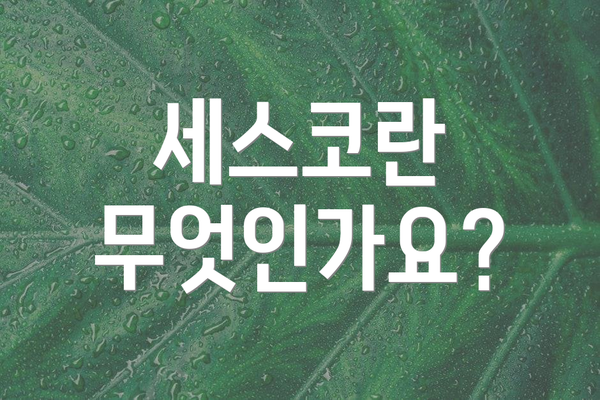 세스코란 무엇인가요?