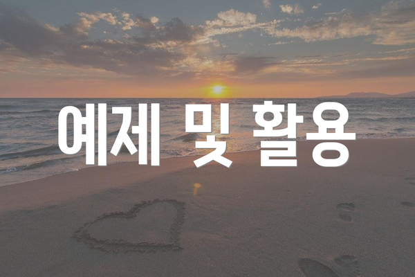 예제 및 활용