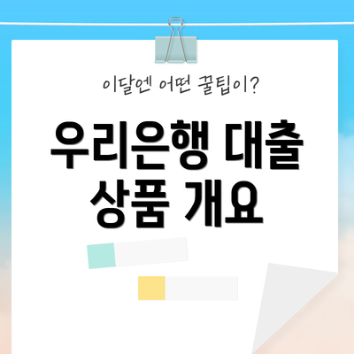 우리은행 대출 상품 개요