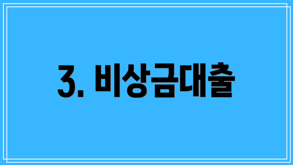 3. 비상금대출