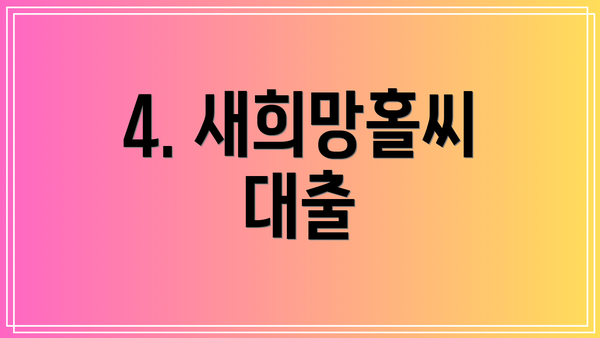 4. 새희망홀씨 대출