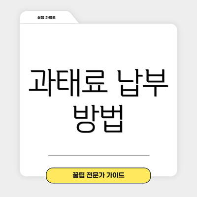 과태료 납부 방법