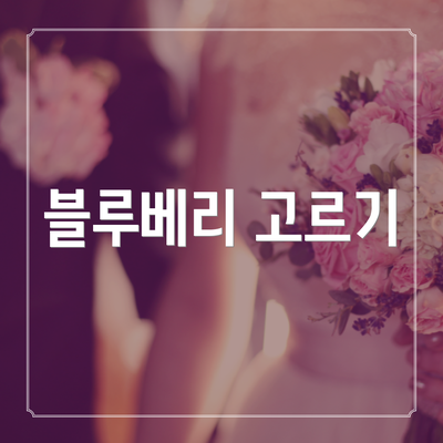 블루베리 고르기
