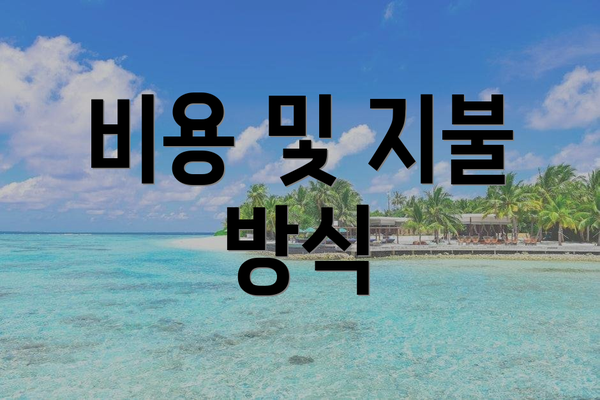 비용 및 지불 방식