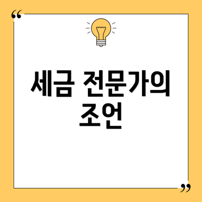 세금 전문가의 조언