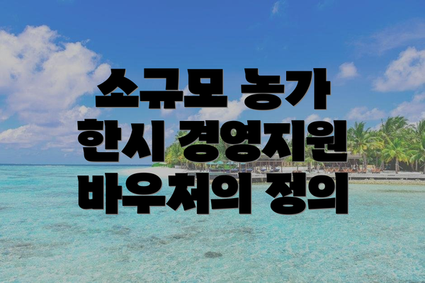 소규모 농가 한시 경영지원 바우처의 정의