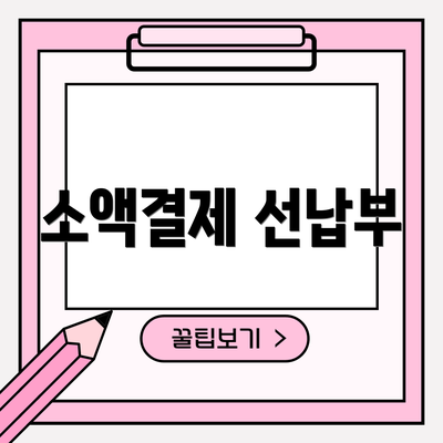 소액결제 선납부