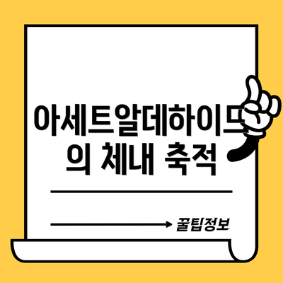 아세트알데하이드의 체내 축적