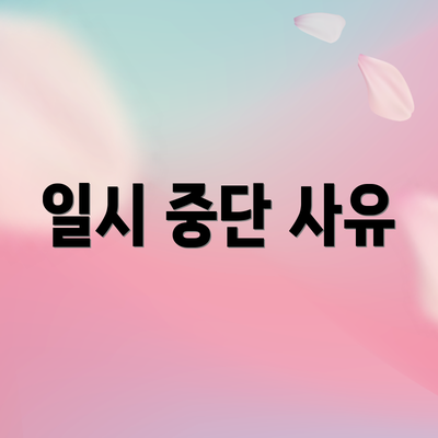 일시 중단 사유