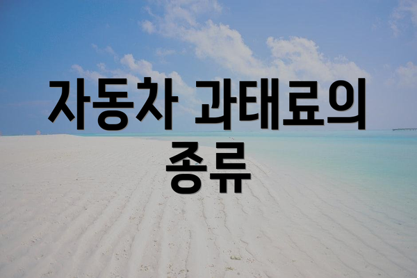 자동차 과태료의 종류