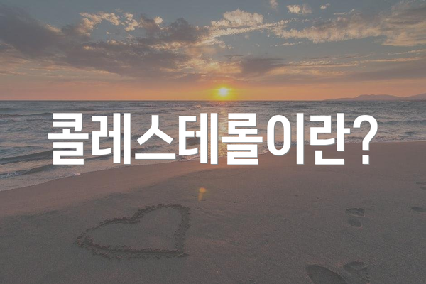 콜레스테롤이란?