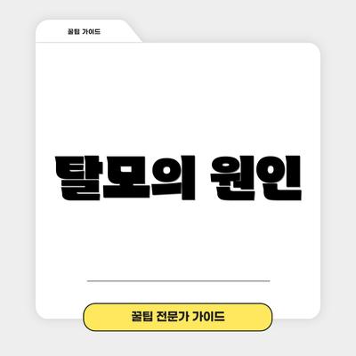 탈모의 원인