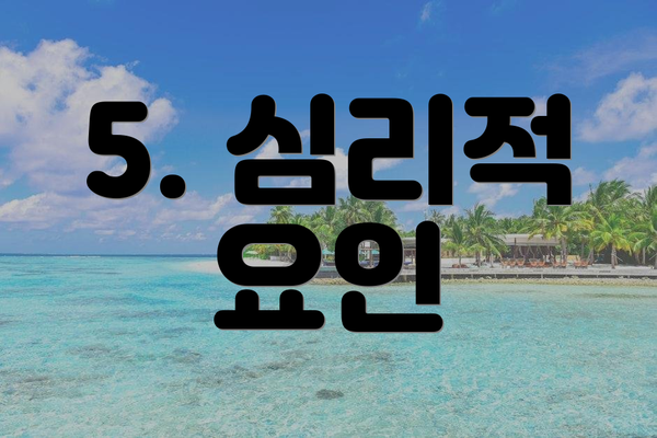 5. 심리적 요인
