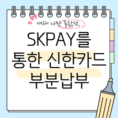SKPAY를 통한 신한카드 부분납부