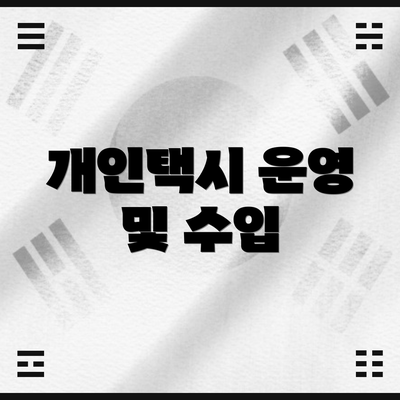 개인택시 운영 및 수입