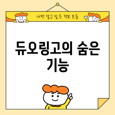 듀오링고의 숨은 기능