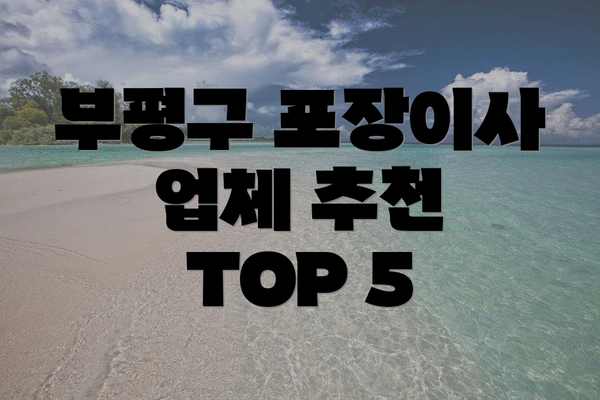 부평구 포장이사 업체 추천 TOP 5