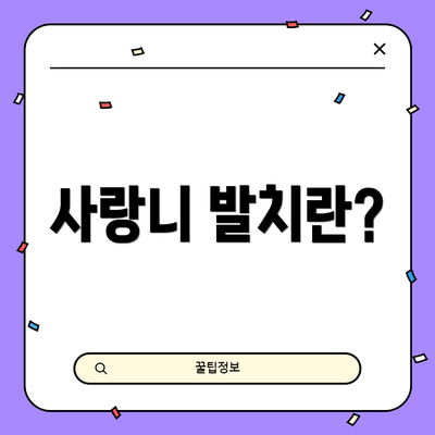 사랑니 발치란?