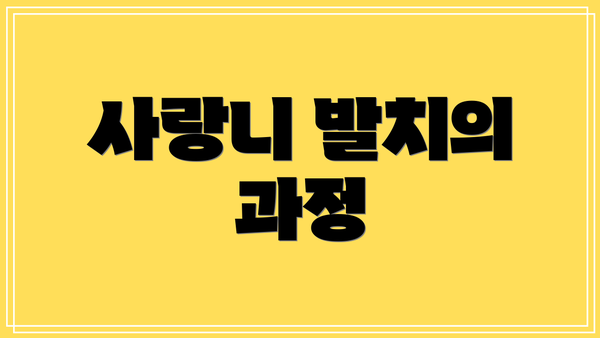 사랑니 발치의 과정