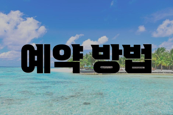 예약 방법