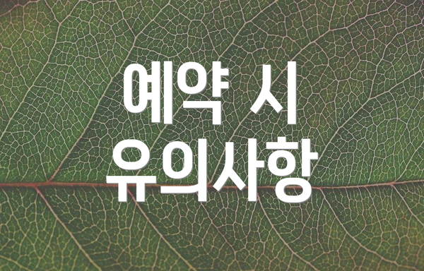 예약 시 유의사항