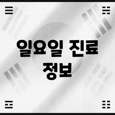 일요일 진료 정보