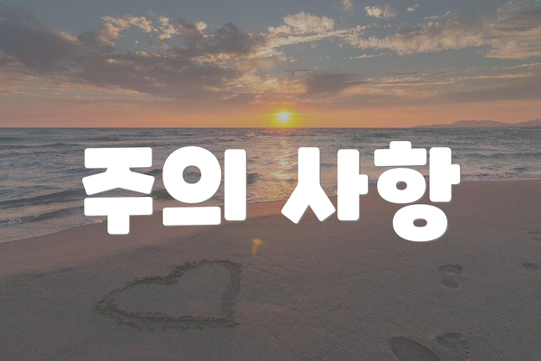 주의 사항