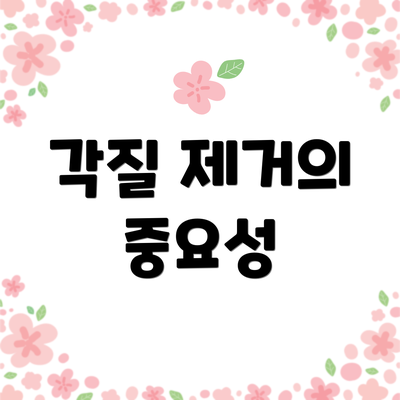 각질 제거의 중요성