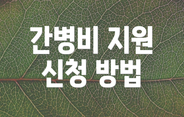 간병비 지원 신청 방법