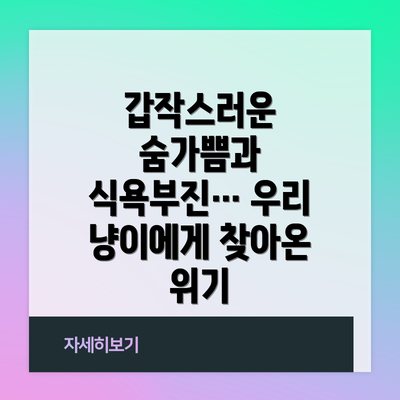 갑작스러운 숨가쁨과 식욕부진… 우리 냥이에게 찾아온 위기