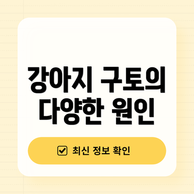 강아지 구토의 다양한 원인
