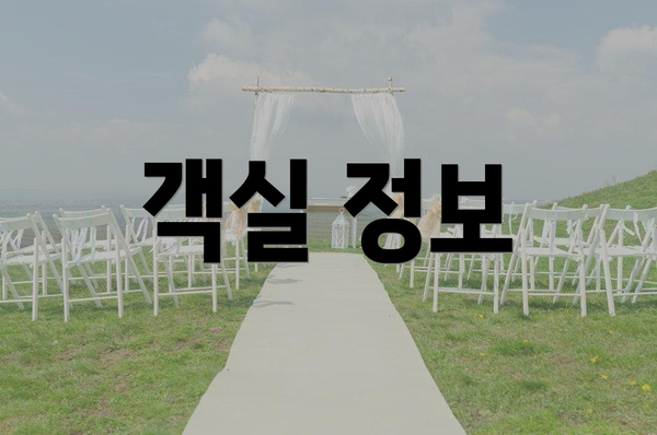 객실 정보