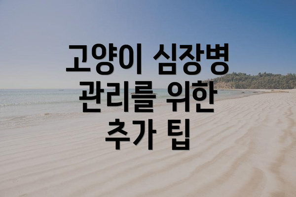 고양이 심장병 관리를 위한 추가 팁