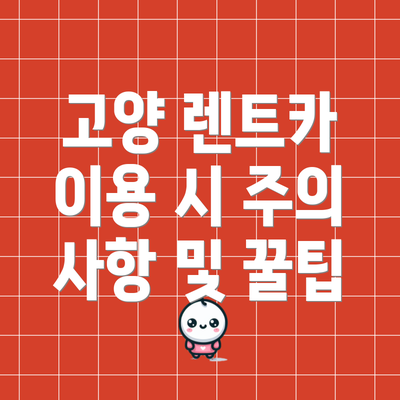 고양 렌트카 이용 시 주의 사항 및 꿀팁