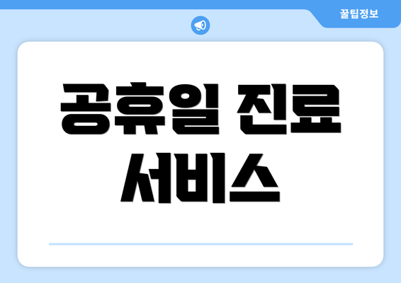 공휴일 진료 서비스