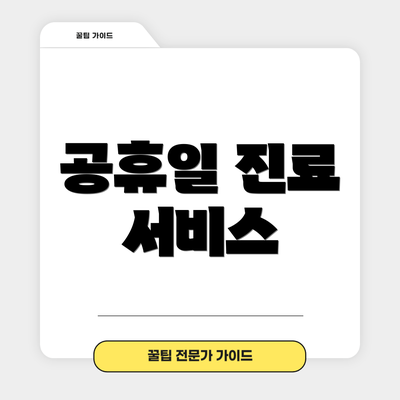 공휴일 진료 서비스