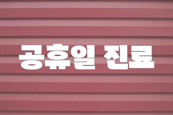 공휴일 진료