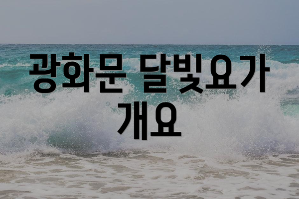 광화문 달빛요가 개요