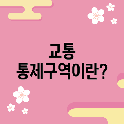 교통 통제구역이란?