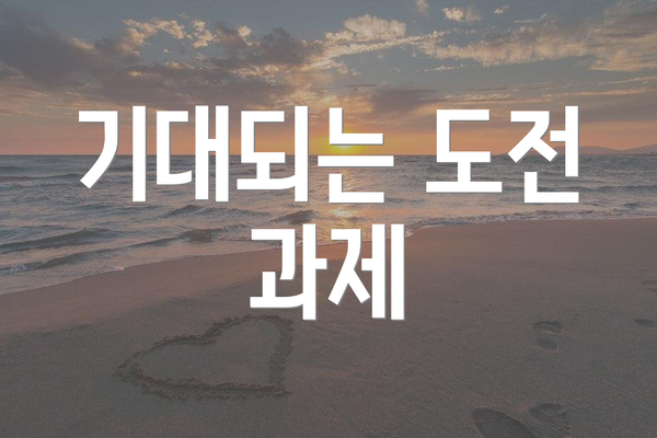 기대되는 도전 과제