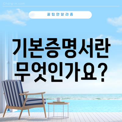 기본증명서란 무엇인가요?