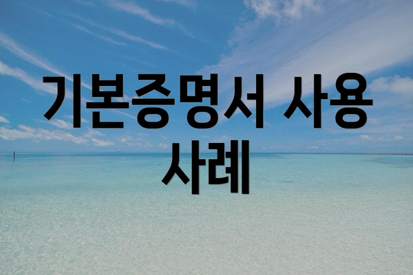 기본증명서 사용 사례