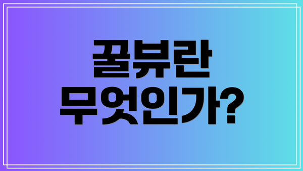 꿀뷰란 무엇인가?