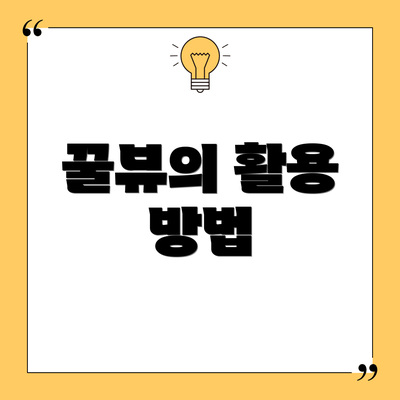 꿀뷰의 활용 방법