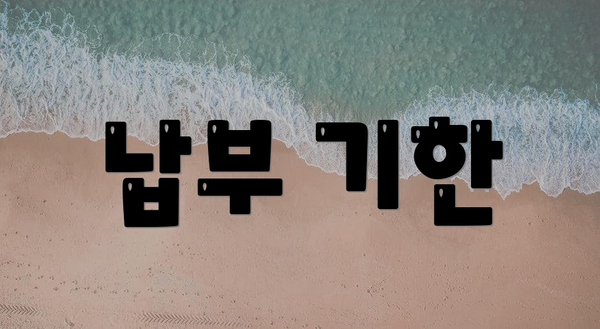 납부 기한