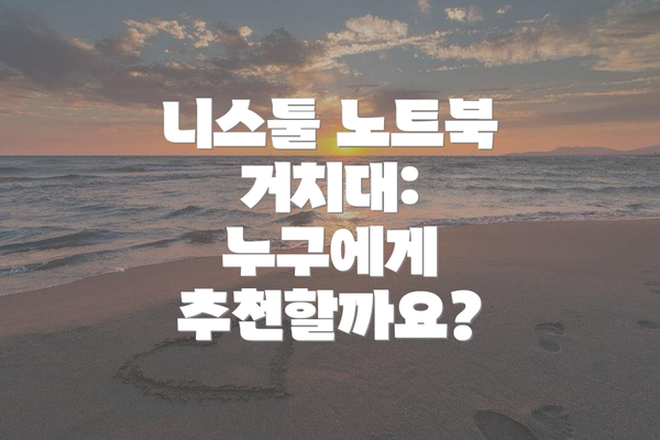 니스툴 노트북 거치대: 누구에게 추천할까요?